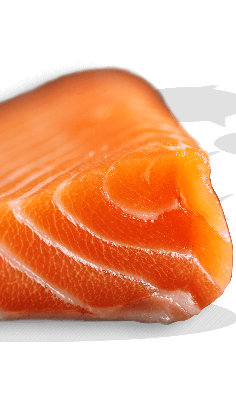 sashimi
